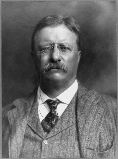 Theodore Roosevelt – 5 Minute Biographies