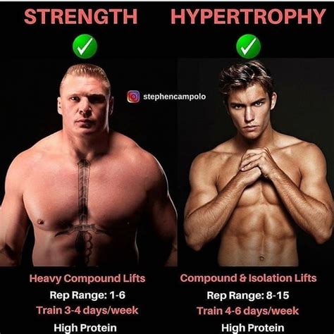 Stronger By Science Hypertrophy Template