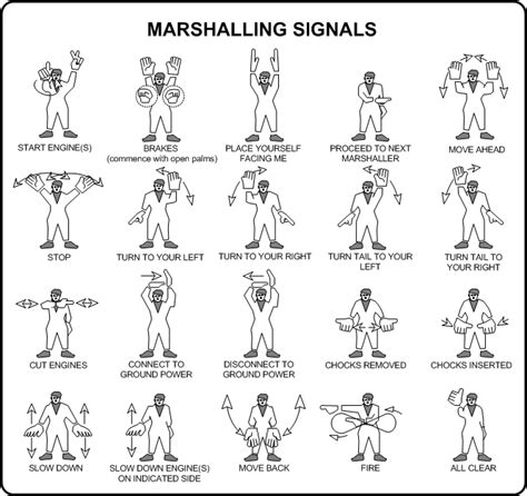 marshalling-signals.gif (665×627) | International civil aviation organization, Aviation ...