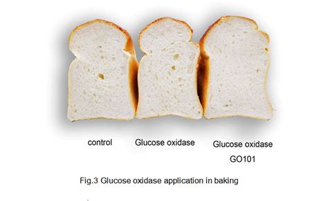 Application of Annzyme baking enzyme in bread - Enzymes - Angelyeast