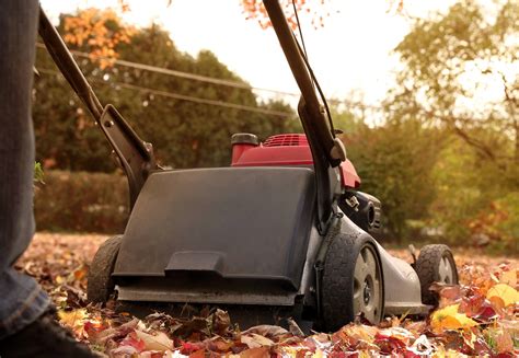 WSMAG.NET BLOG | Your Fall Yard Work Checklist for Reaping Benefits Next Spring | Featured, The ...