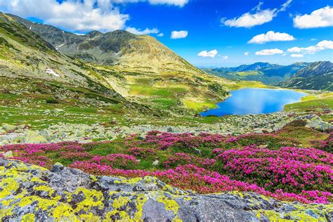 Carpathian Mountains - WorldAtlas