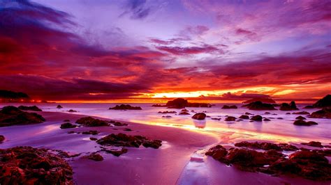 🔥 [90+] Purple Sunset Wallpapers | WallpaperSafari