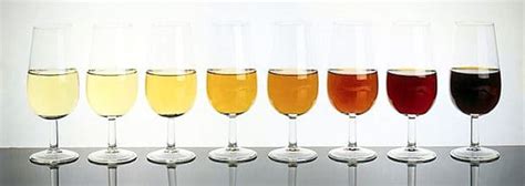 Types of sherry wines | SherryNotes