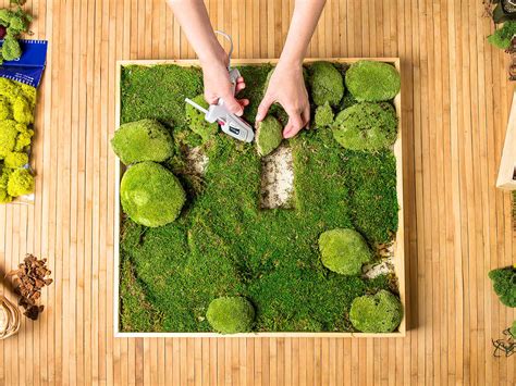 How to Craft Your Own Colorful Moss Wall Art At home – Mossaro