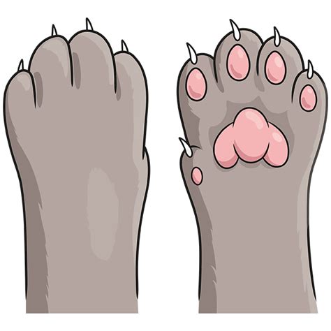 Steps To Draw A Cat Paw