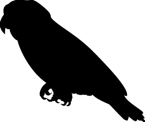 Parrot Silhouette Clip Art at GetDrawings | Free download