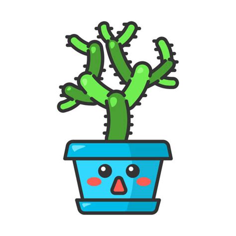 Cholla Cactus Illustrations, Royalty-Free Vector Graphics & Clip Art ...