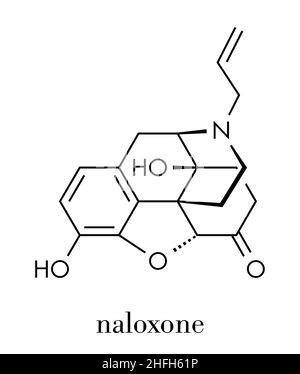 Naloxone opioid receptor antagonist. Drug used in treatment of opioid ...