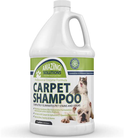 Best Carpet Cleaning Pet Urine Products Reviews & Buyer's Guide