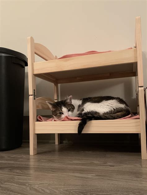 A hack for pet owners. I took the Duktig doll bed and converted into a cat bunk bed : r/ikeahacks