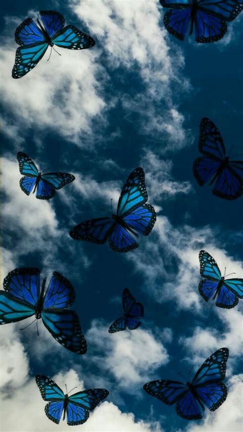 Mariposas fondos | Butterfly wallpaper iphone, Iconic wallpaper, Cute ...