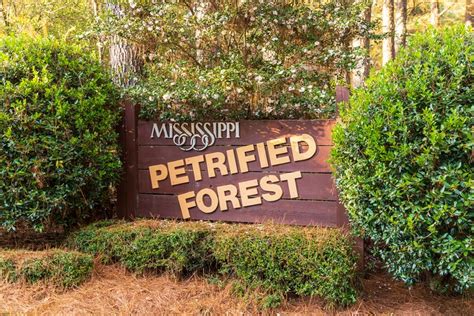 15 Top-Rated Attractions & Things to Do in Mississippi | PlanetWare