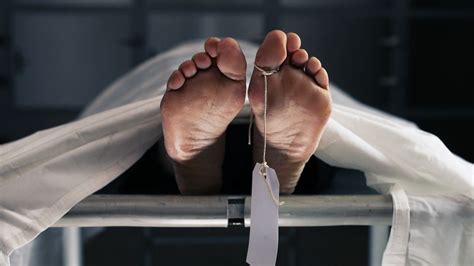 Morgue Workers Shocked To Find "Corpse" In Freezer Wasn't Dead Yet | IFLScience