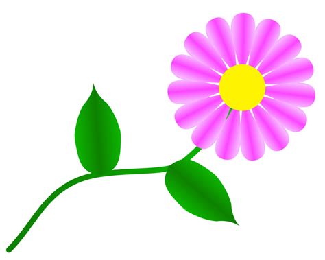 Free daisy clipart public domain flower clip art images and 2 7 - Clipartix