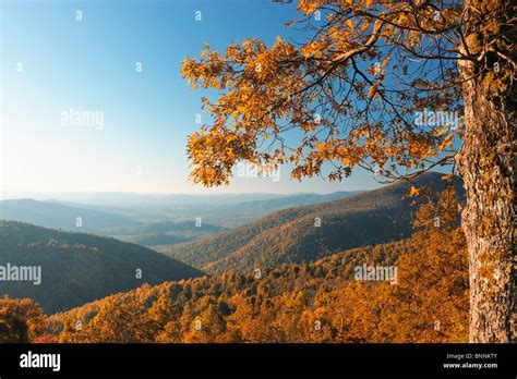 Skyline Drive Fall autumn colours colors Shenandoah National Park ...