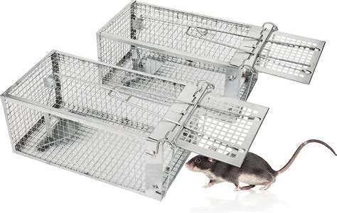 Amazon.com : 2-Pack Humane Rat Traps, Live Mouse Rat Cage Traps Catch and Release for Indoor ...