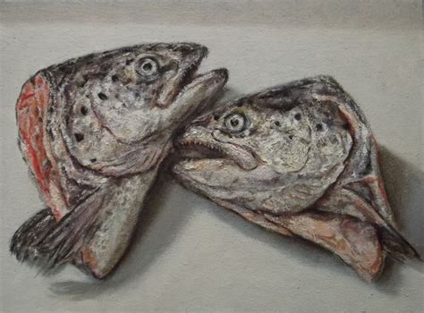 Salmon Heads - by Andy Swani | Fish painting, Painting, Art