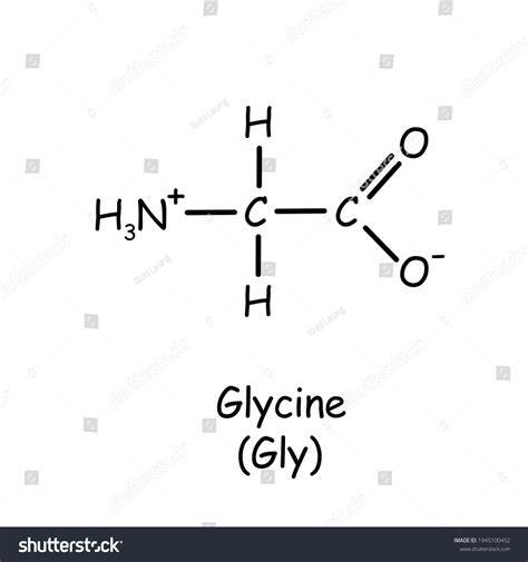 Glycine Structure