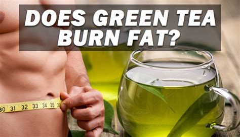 Green Tea And Weight Loss: Does Green Tea Burn Fat?