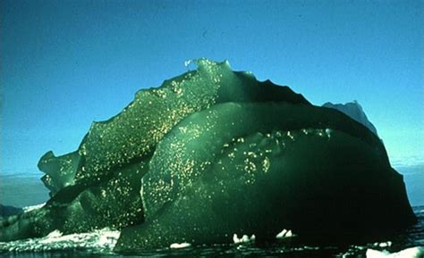 Rare green iceberg : r/AntarcticAnomalies