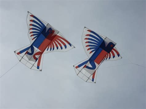 Two identical winged Box kites. The craft have a bird-like appearance due to the stylized ...