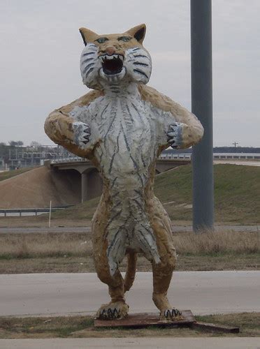 Itasca Wampus Cat | high school mascot, Itasca TX | meknits | Flickr