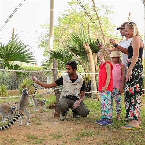 Al Ain Zoo | Beautiful Global | Al ain, Zoo, United arab emirates