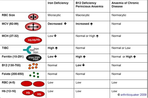 Aneamia Table | Nurse practitioner school, Hematology nursing, Hematology