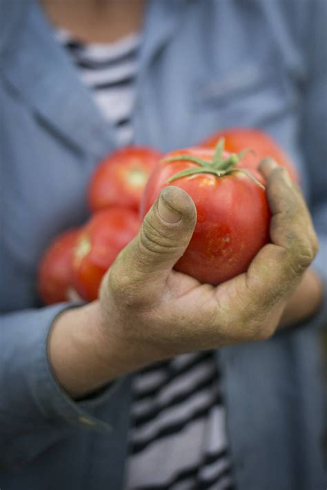 Farm to Food Bank - CSU System Magazine