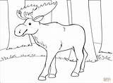 Moose Free Printable Coloring Pages  Cool sketch template