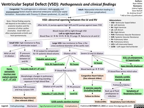 Ventricular Septal Defect (VSD)-Pathogenesis and clinical findings ...