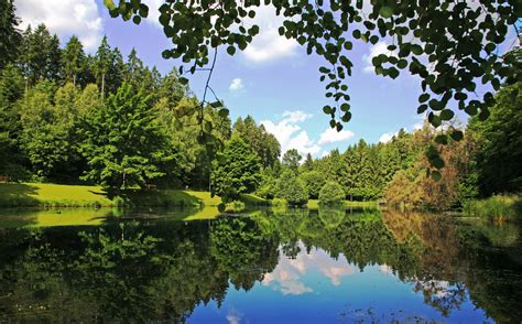 Waldsee • See » Der offizielle Schwarzwald-Tourenplaner