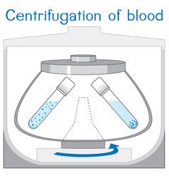 Centrifugation blood diagram Royalty Free Vector Image