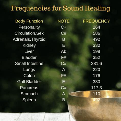 Tibetan Singing Bowls Guide: Open Your Chakras And Heal [TUTORIAL] | Healing frequencies, Sound ...