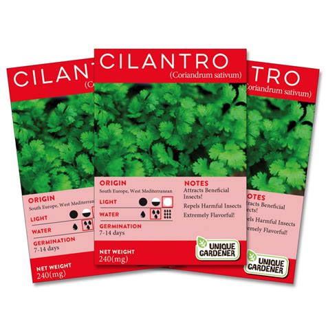 Cilantro Seeds 3-Pack