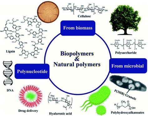 Poly(lactic acid) (PLA) and polyhydroxyalkanoates (PHAs), green ...