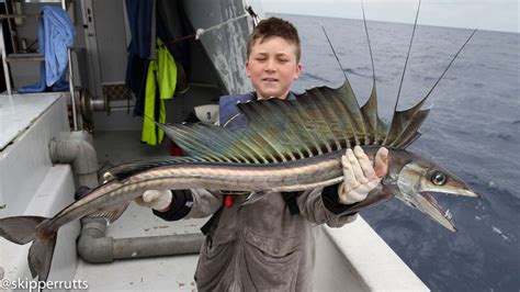 Lancet fish - I really love the fins, will use for reference. Lancetfish - The Hull Truth ...