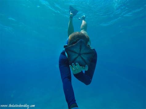 Beginner Snorkeling Tips For Awesome And Safe Adventures