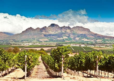 Visit Stellenbosch on a trip to South Africa | Audley Travel