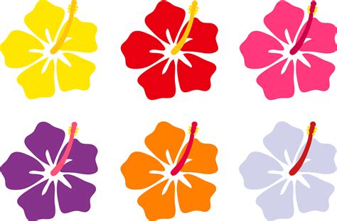 Cartoon Hibiscus Flower - ClipArt Best