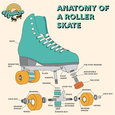 Anatomy of a Roller Skate - RollerSkateNation.com