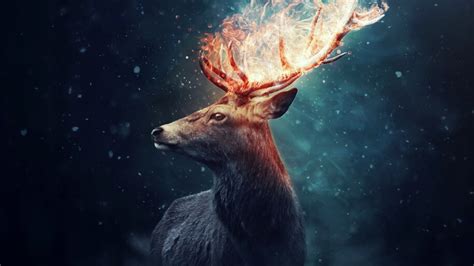 Deer, Flaming, Horn, Digital Art, 4K, #4.555 Wallpaper