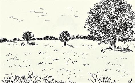 Meadow near Woerlitz Drawing by Chani Demuijlder - Fine Art America