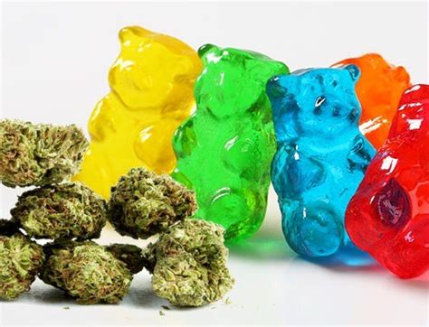 Bite into Bliss - Delta 9 Gummies Offer Delicious Cannabis Infusion - Fact Page