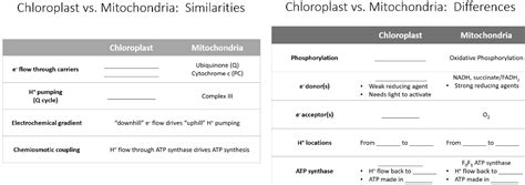 SOLVED: Chloroplast vs. Mitochondria: Similarities Chloroplast vs. Mitochondria: Differences ...