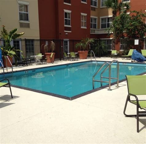 15 Pet Friendly Hotels in Orlando (2024 Update) - Catster