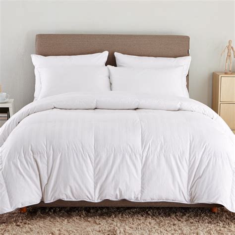 Puredown Lightweight Down Comforter & Reviews | Wayfair.ca