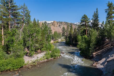 Naturetastic Blog: Leavitt Falls Vista Point & SR-108 (Part 4 ...