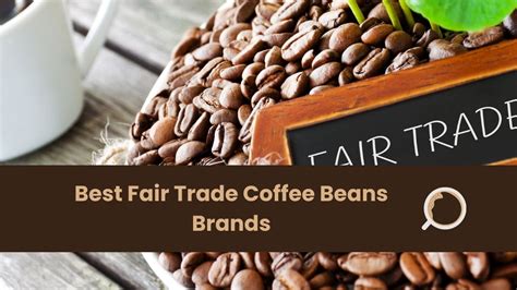 What Are the Top Fair Trade Coffee Bean Brands? - Everything About Coffee - Kitchen House Coffee